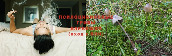 ALPHA-PVP Касимов