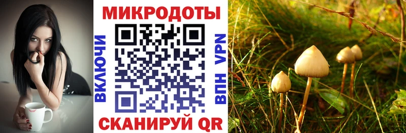 Галлюциногенные грибы прущие грибы Кострома
